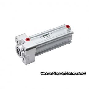 SUS 40X100 TS Pneumatic Air Cylinder Nanxing 60101.00073 30110382 Cylinder