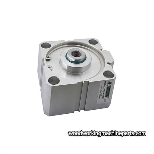 SDA100 Series cylinder