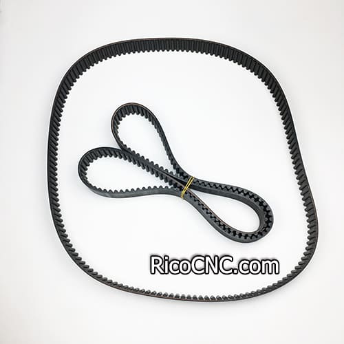 1264-8M-30 timing belt.jpg